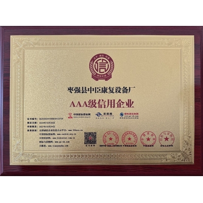 AAA CREDIT ENTERPRISE