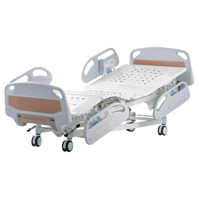 ZC-D01 luxury electric five feature care bed (punch bed surface)